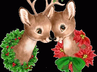 homme de ma vie nole